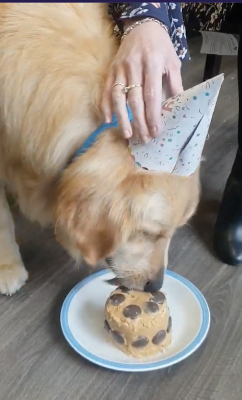 Milestone-Belanova Central Coast Marketing Agency